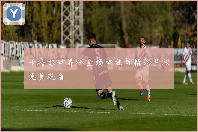 卡塔尔世界杯全场回放与精彩片段免费观看