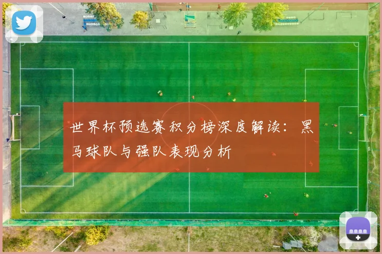 世界杯预选赛积分榜深度解读:黑马球队与强队表现分析