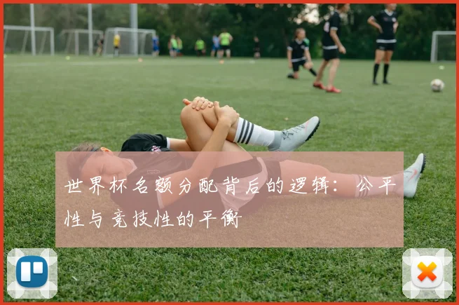 世界杯名额分配背后的逻辑：公平性与竞技性的平衡